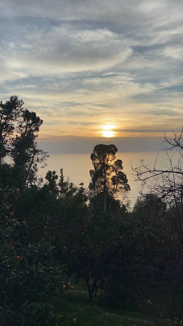 Энергия не течет через жесткость