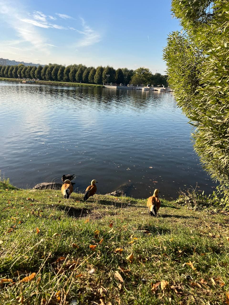 Триединство тела, личности и духа